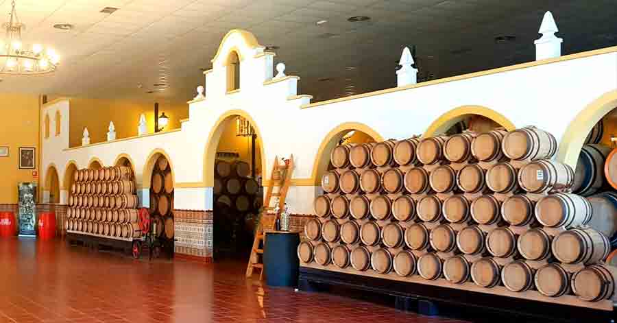 visitas-bodegas-quitapena-malaga